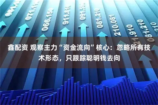 鑫配资 观察主力“资金流向”核心：忽略所有技术形态，只跟踪聪明钱去向